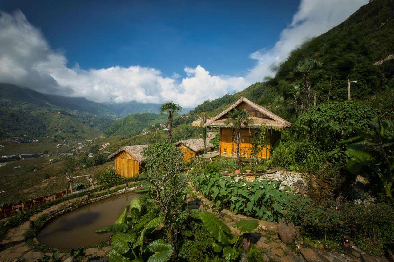 Không gian xung quanh Homestay Eco Palms House